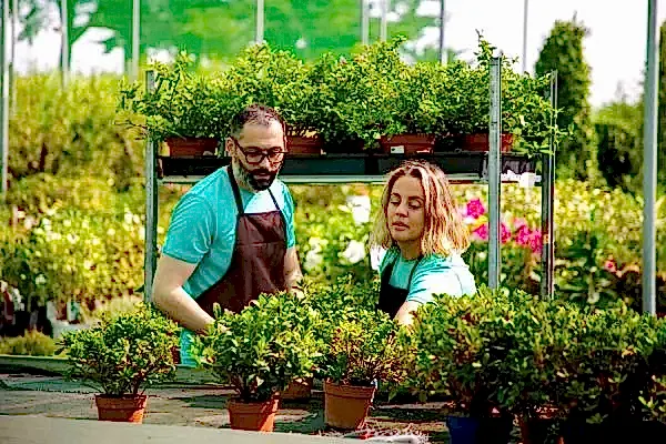 Bitki Temini ve Satışı
