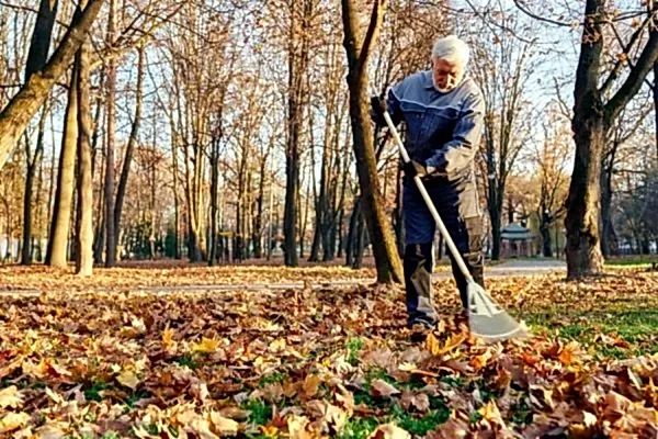 Sonbahar ve İlkbahar Temizliği